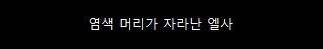 디즈니 공주들의 좀 더 현실적인 헤어스타일