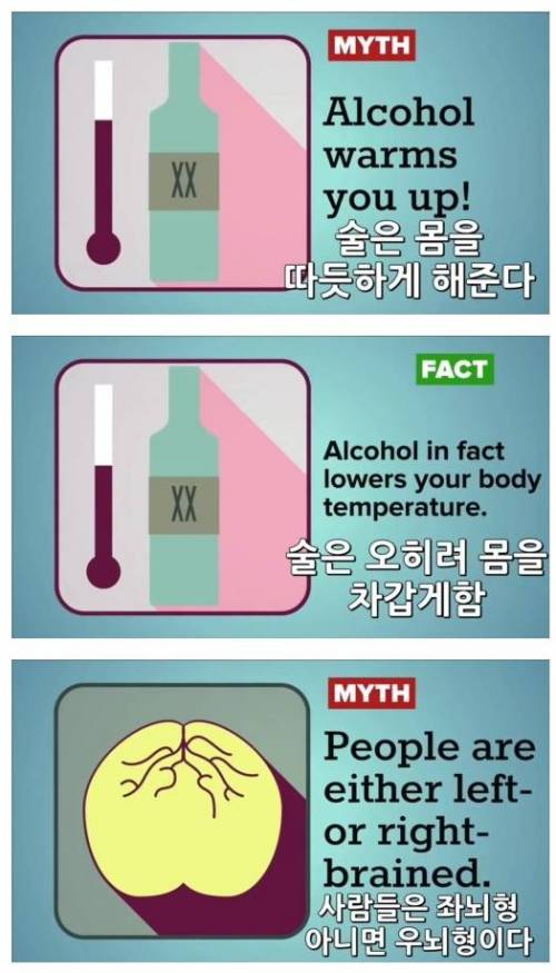 많이들 잘못알고 있는 상식들