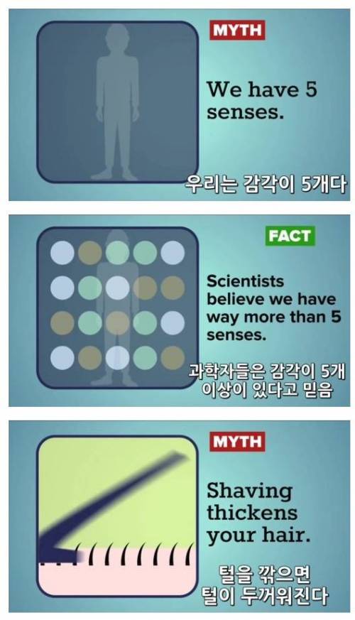 많이들 잘못알고 있는 상식들