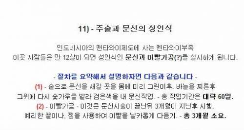 세계의 성인식.jpg