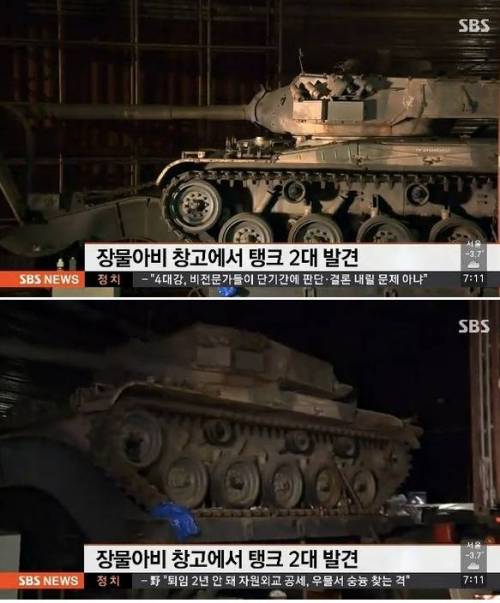 브라질의 흔한 장물아비.jpg