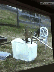 시청각교육.gif