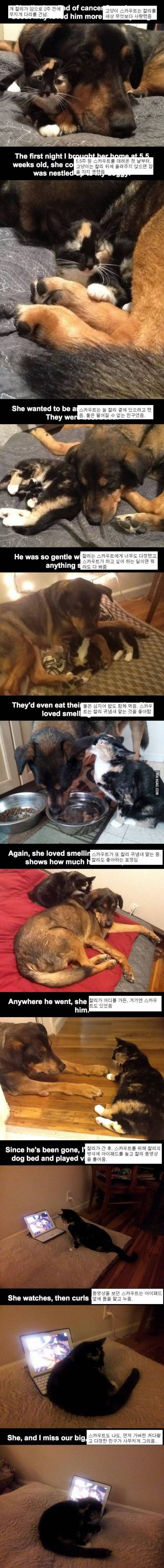 먼저 간 친구를 그리워함