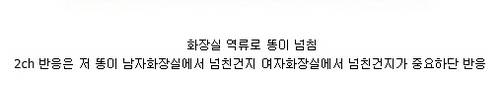 어제자 도쿄역 똥테러.jpg