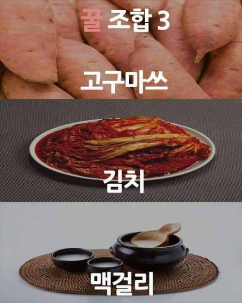 음식 꿀 조합.jpg