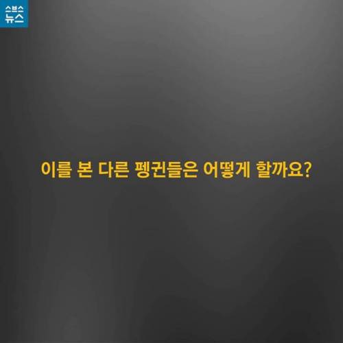 우리는 이렇게 버텨내요.jpg