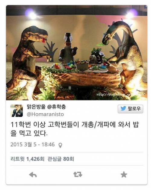 15학번 새내기들에게 보이는 세계