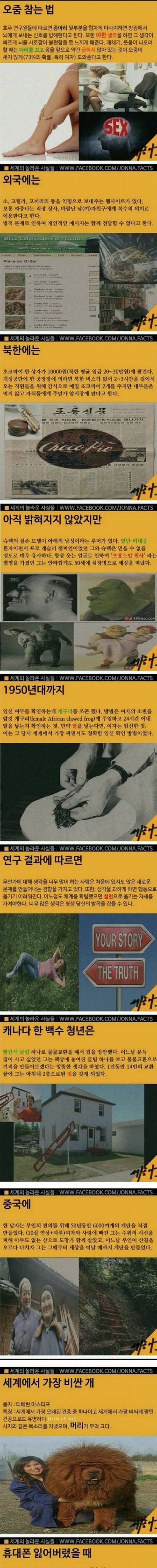 재미있는 사실들.jpg