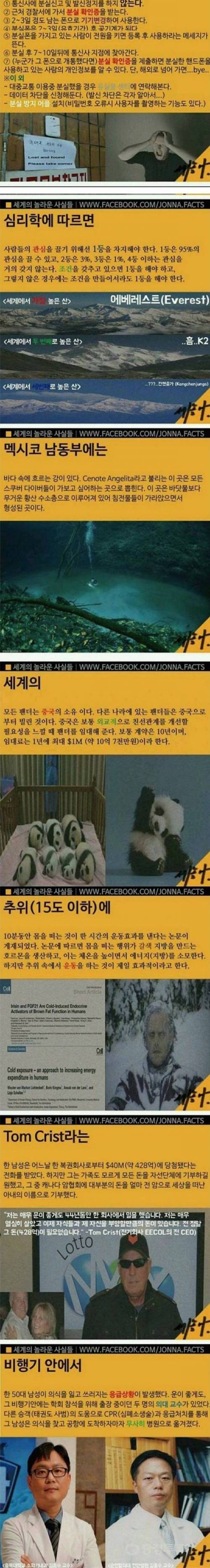 재미있는 사실들.jpg