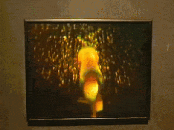 망원경 홀로그램.gif