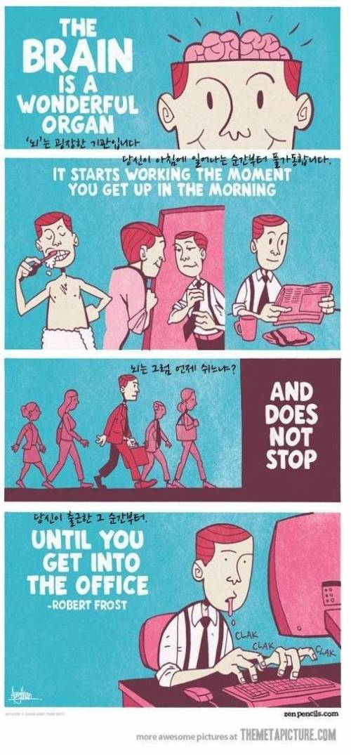 놀라운 뇌의 진실.jpg