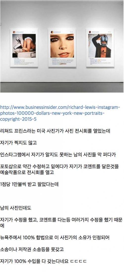 남의 사진 가져다가 1억원을 넘게 번 미국 사진가.jpg