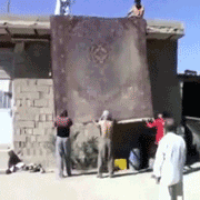 카페트를 털었을 뿐인데.gif
