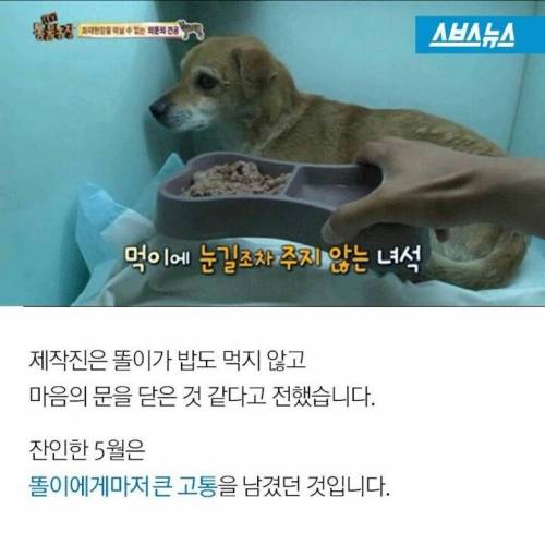 똘이야 밥먹자.jpg