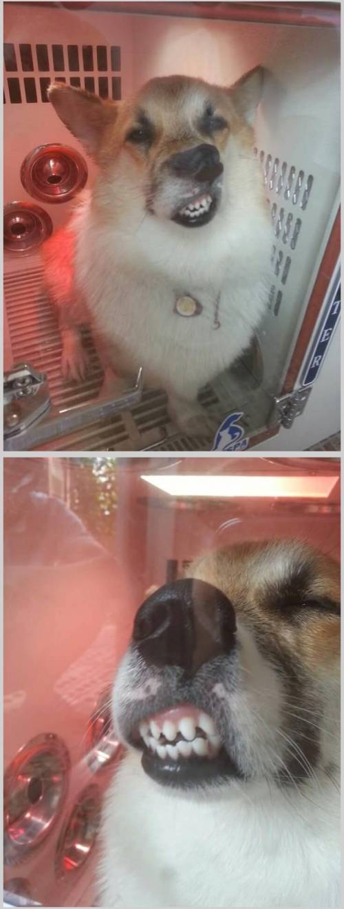 야 xx 빨리 꺼내라고~