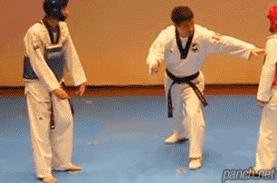 약빤 태권도 대련.gif
