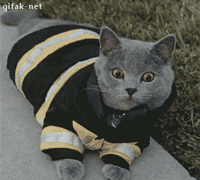 도와줘요!! 소방냥.gif