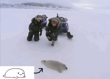 아둥바둥.gif