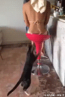 너 이자식.. 파이팅.gif