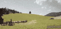 동물과의 팀워크 주차.gif