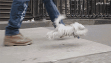 마리오네트 마스터의 산책.gif