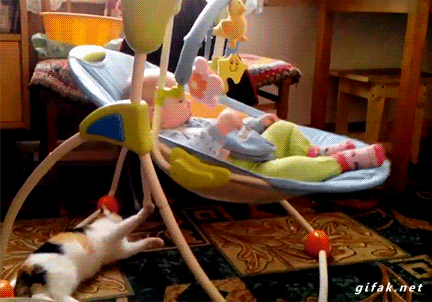 집사가 일을 시켰다.gif