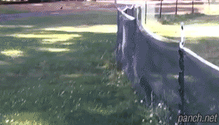 개자연스러움.gif