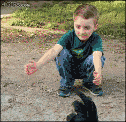 밀당만랩.gif