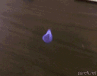 불장난.gif