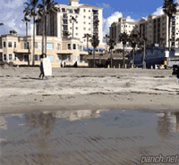 신나는 서핑!.gif