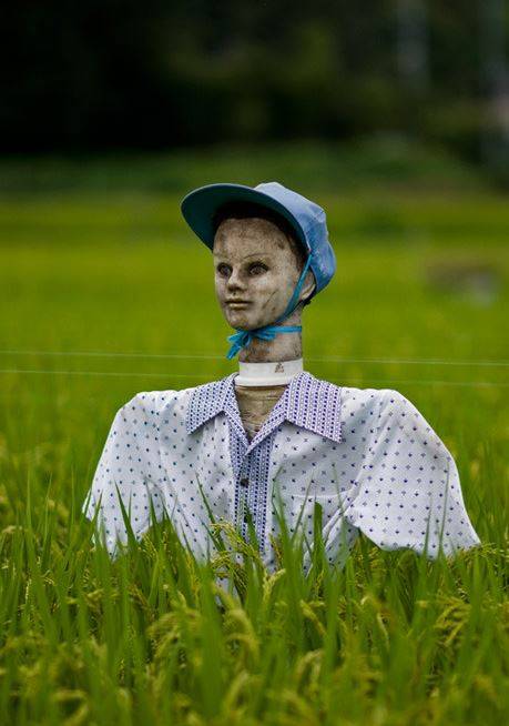 심쿵하는 성진국 허수아비 클라스