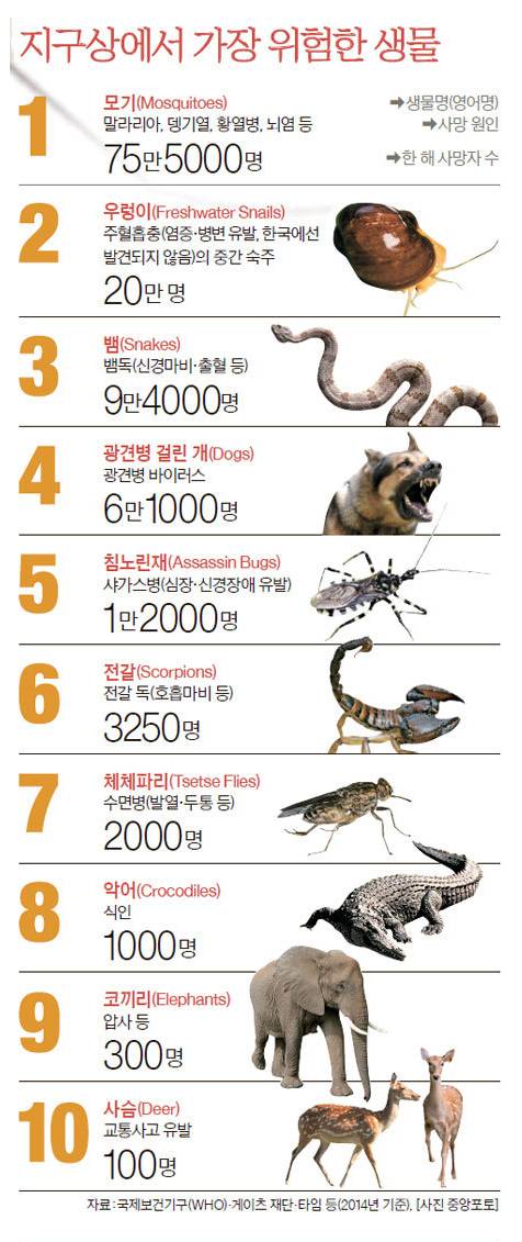 지구상에서 가장 위험한 생물.jpg