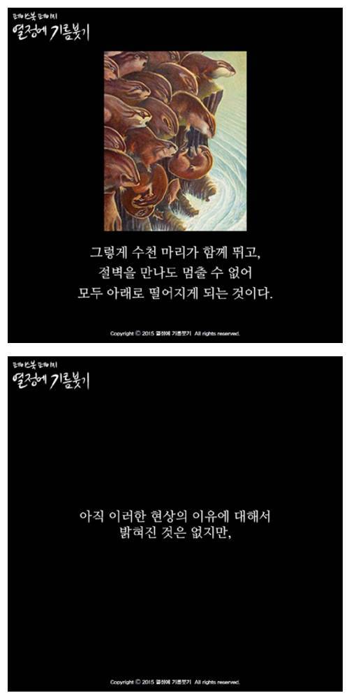 레밍효과.jpg
