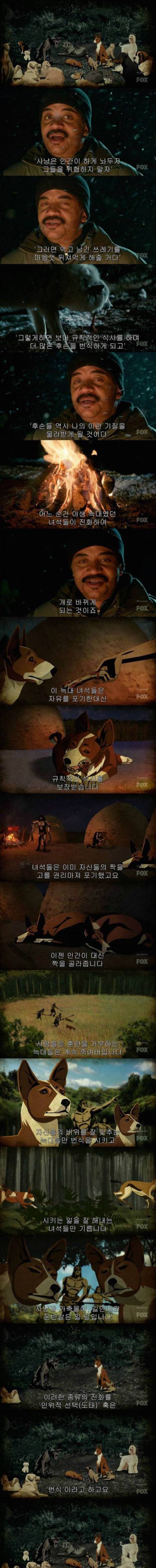 인간의 친구 개의 기원.jpg