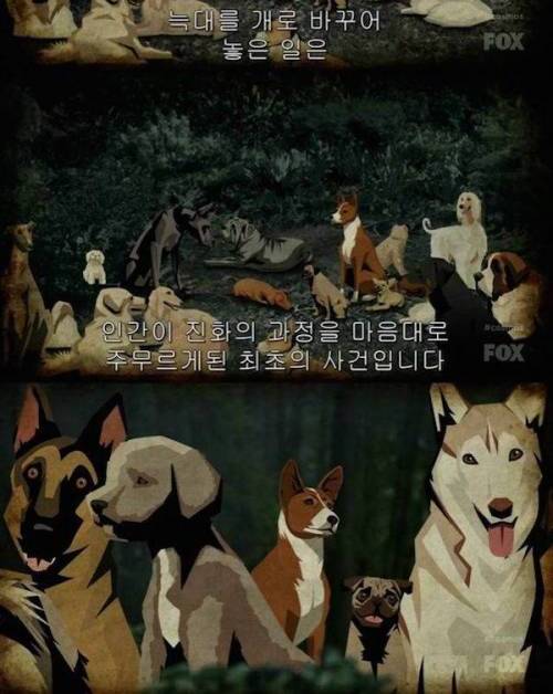 인간의 친구 개의 기원.jpg