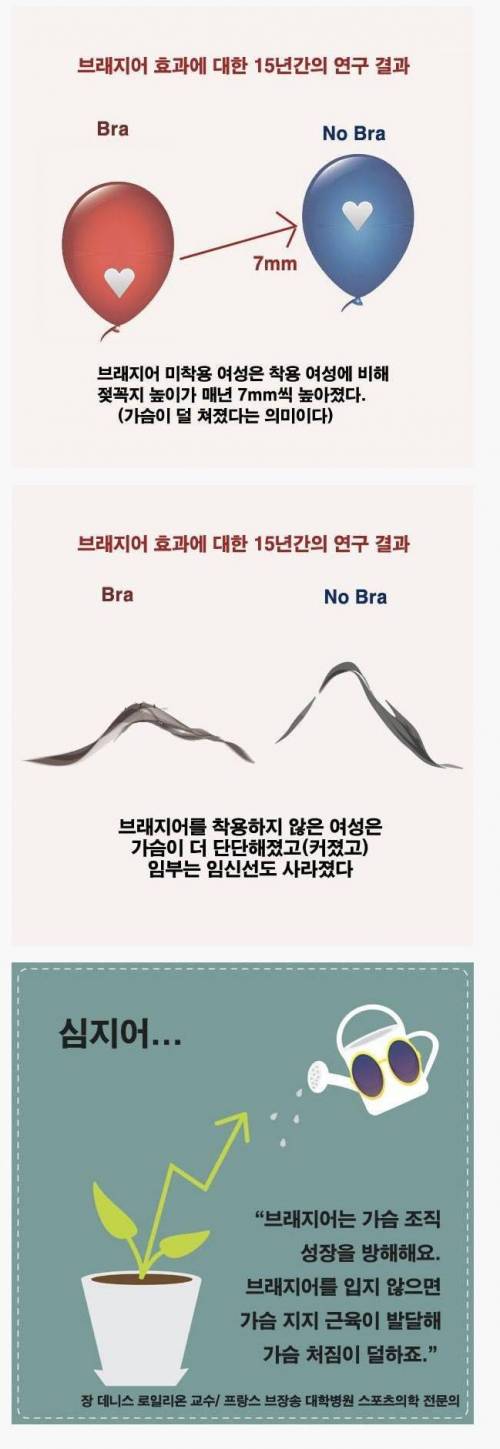 브래지어 효과.jpg