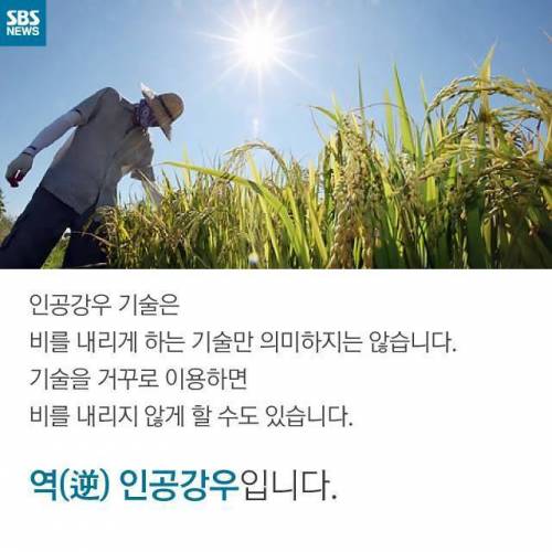 모두가 원하는 미사일.jpg