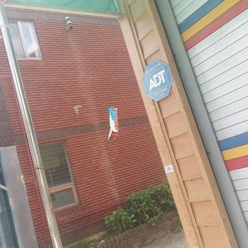 염력.jpg
