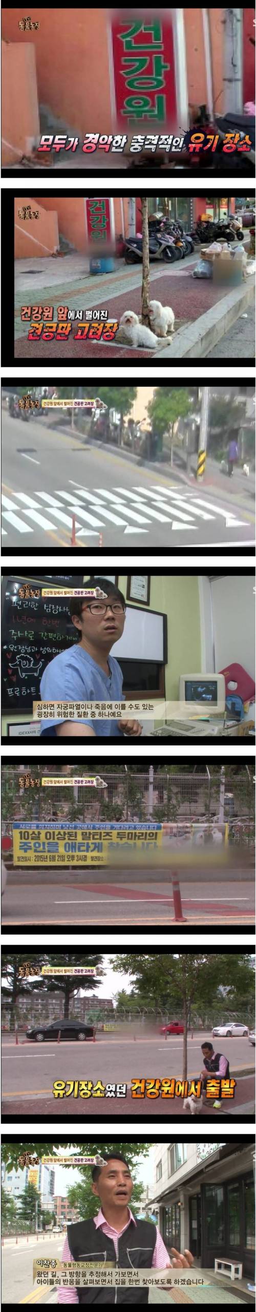 애완견 고려장.jpg