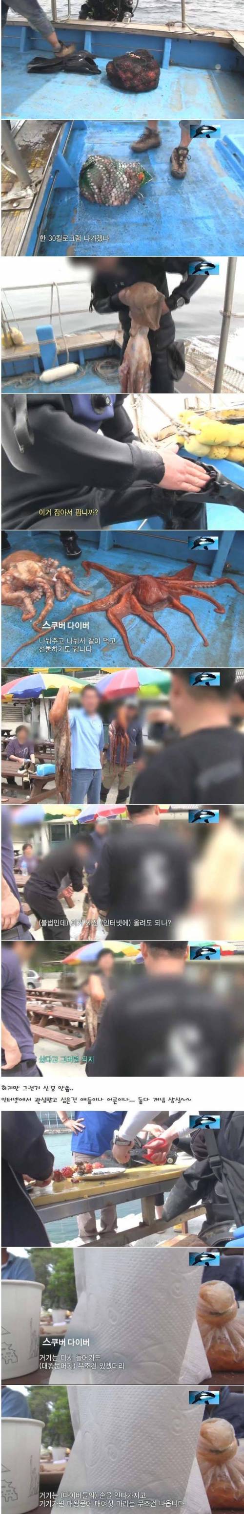 다이버.jpg