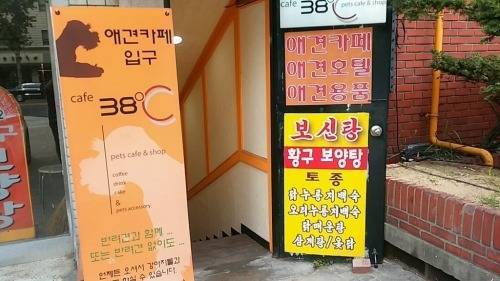 그레이트한 업소 위치선정