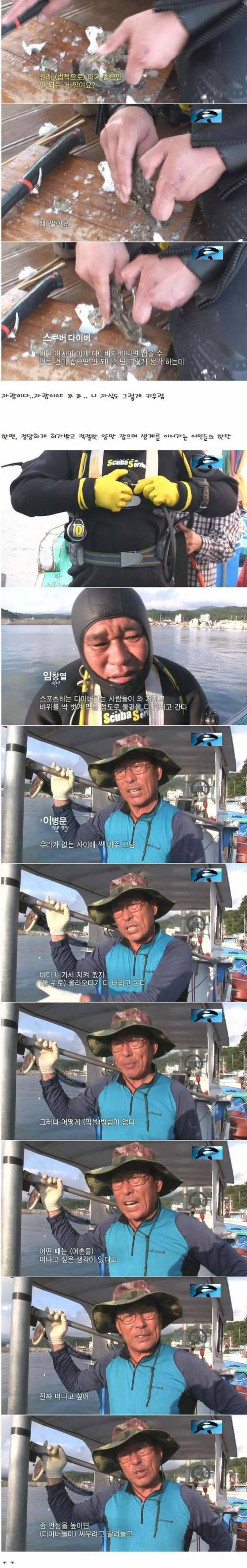 다이버.jpg
