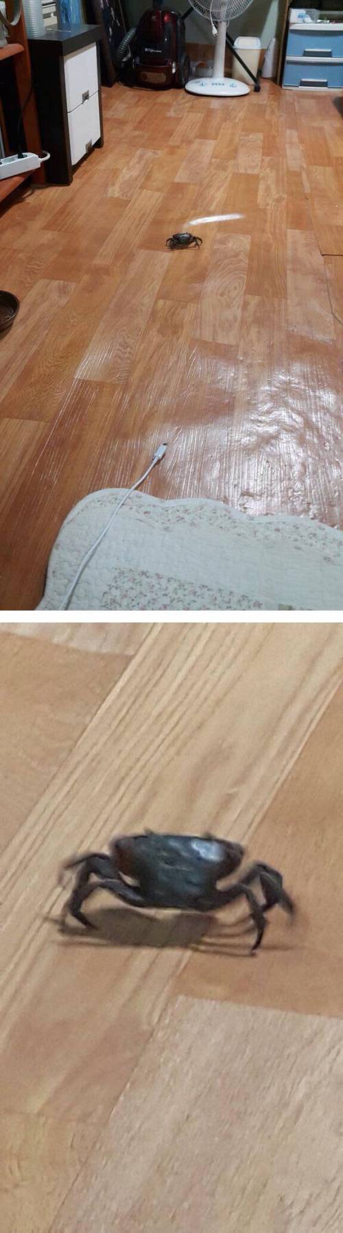 바닷가에 살면 일어나는 일
