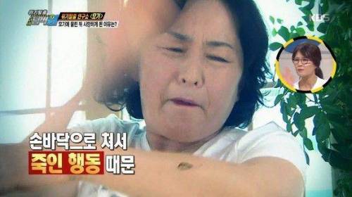 모기에 물린 뒤 사망하게 된 이유는?