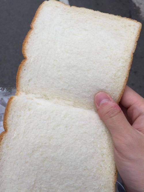 노잼.jpg