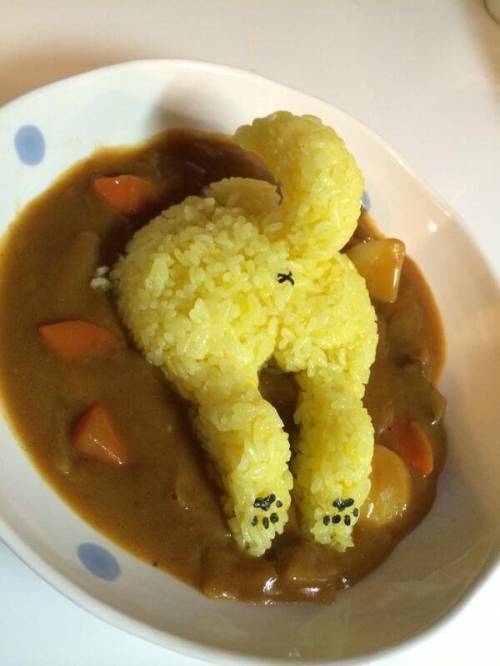 궁디 팡팡카레.jpg