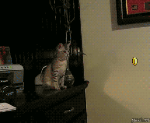 민폐 마리오.gif