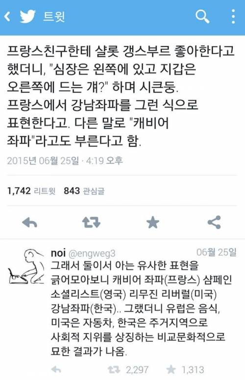 국가별 강남좌파.jpg