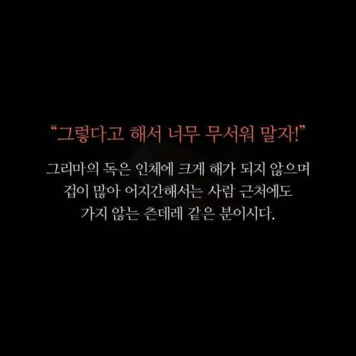 돈벌레 죽이면 안됨.jpg