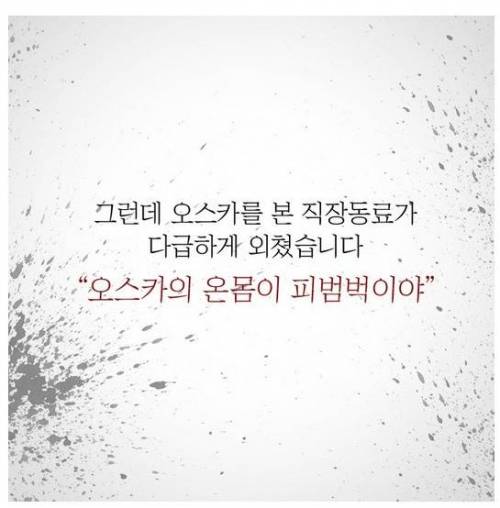 흉기에 찔린 안내견이 끝까지 짖지 않았던 이유